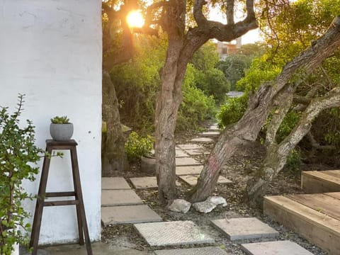 Beach, Garden view