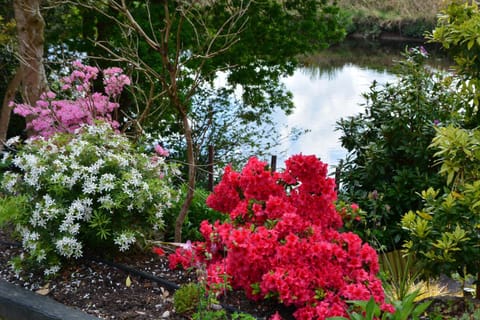 Day, Natural landscape, Garden, River view