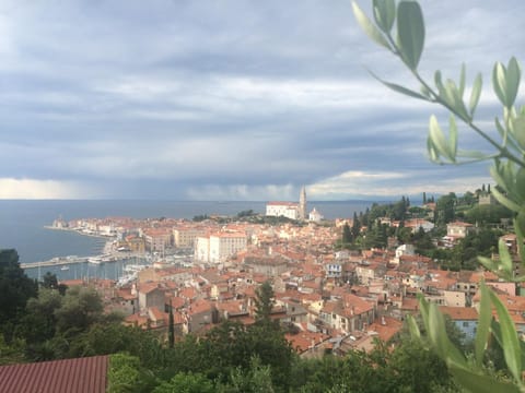 Apartments Mirjana Condo in Piran