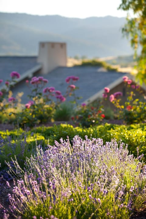 Rosewood Sand Hill Hotel in Menlo Park