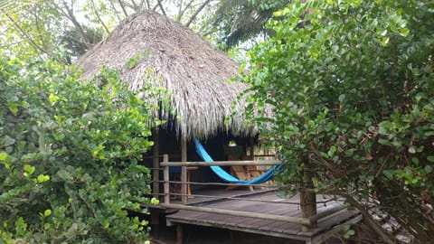 Playa Pikua Ecolodge Lodge nature in Magdalena, Colombia