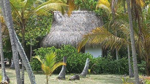 Playa Pikua Ecolodge Lodge nature in Magdalena, Colombia