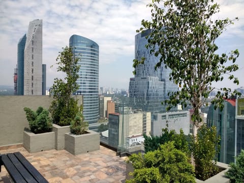 Garden, Balcony/Terrace, City view, Garden view