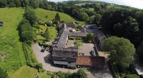 Natural landscape, Bird's eye view, Garden, Garden view