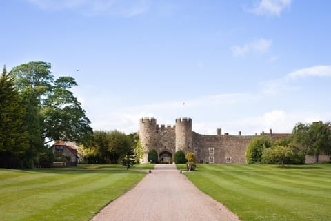 Nearby landmark, Day, Garden