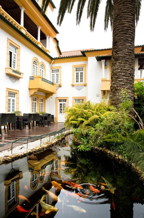 Patio, Garden, Garden view