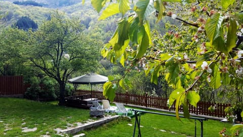 Garden, Garden view, Mountain view