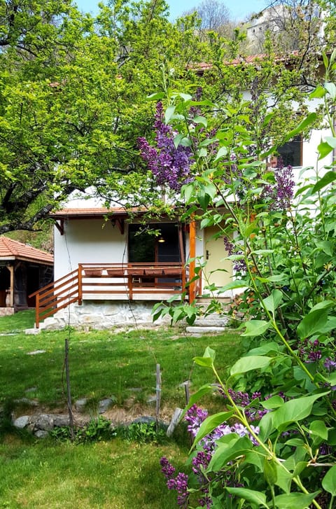 Facade/entrance, Garden view