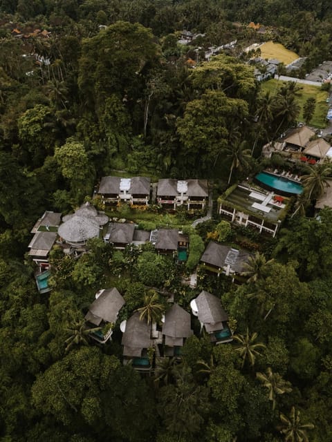 Property building, Natural landscape, Bird's eye view