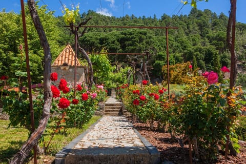 Casal De Tralhariz - Turismo De Habitacao Bed and Breakfast in Vila Real District