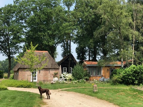 Hof van Eersel Bed and Breakfast in North Brabant (province)