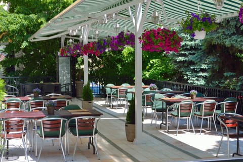 Garden, Balcony/Terrace