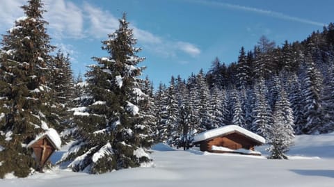 Apart Waldegger Apartment in Trentino-South Tyrol