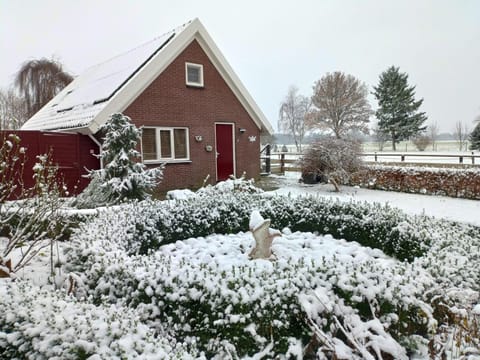 Property building, Winter