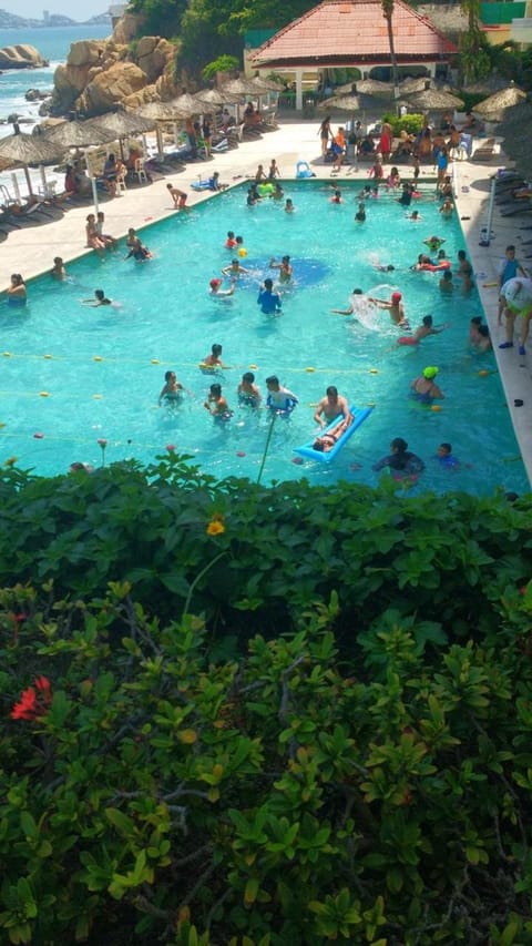 Pool view, Swimming pool