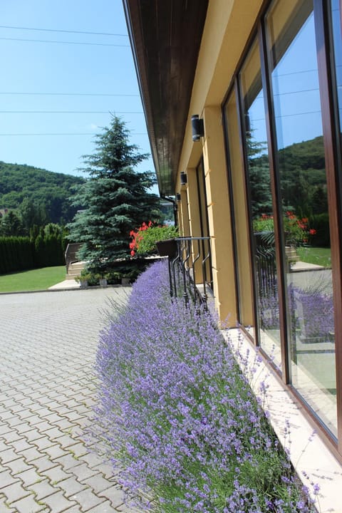 Facade/entrance, Garden