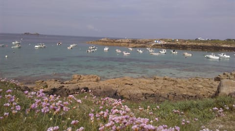 Restaurant/places to eat, Off site, Natural landscape, Beach