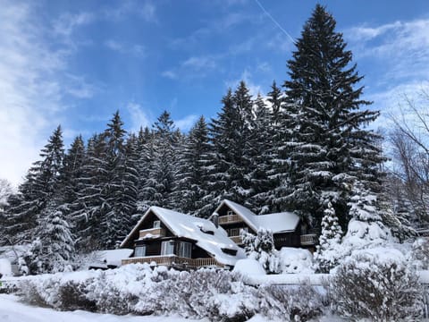 Property building, Winter