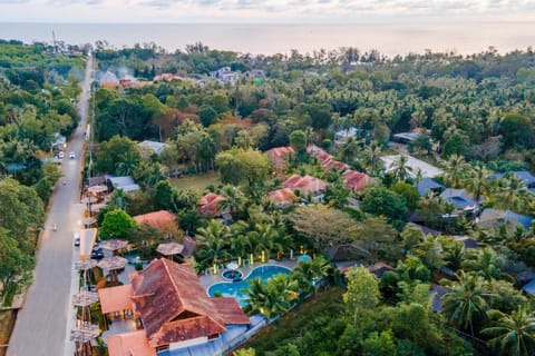 Natural landscape, Bird's eye view, Street view