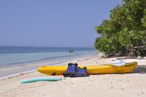 Natural landscape, Fishing, Snorkeling, Beach, Canoeing, Diving