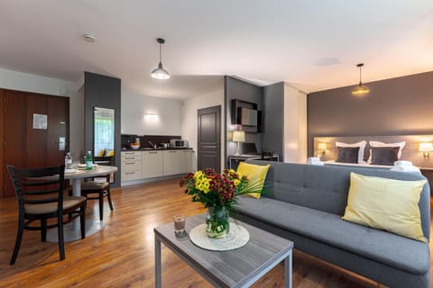 Kitchen or kitchenette, Living room, Photo of the whole room