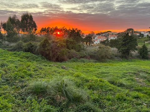 View (from property/room), Sea view, Sunset