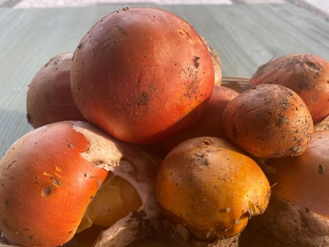 Agriturismo Grammelot Farm Stay in Province of Brescia