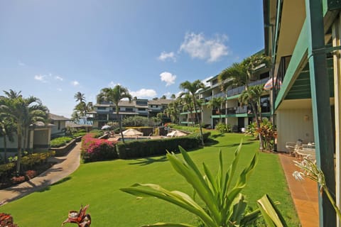 Property building, Natural landscape