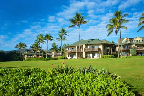 Property building, Natural landscape