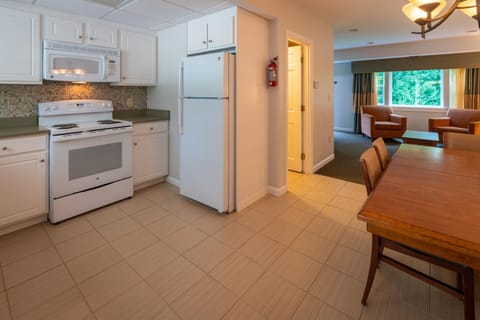 Kitchen or kitchenette, Dining area, oven, stove