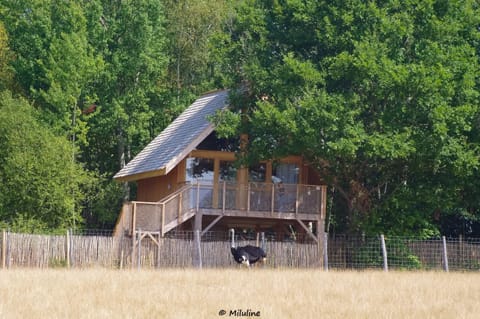 View (from property/room), Animals