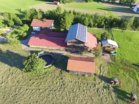 Property building, Bird's eye view