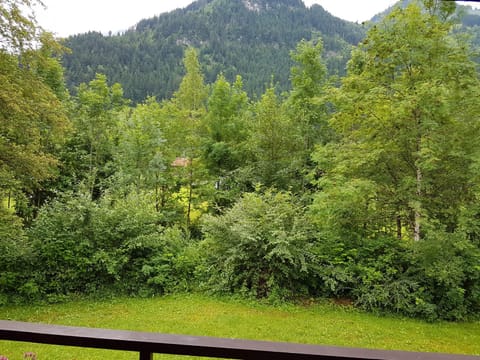 Balcony/Terrace, Garden view