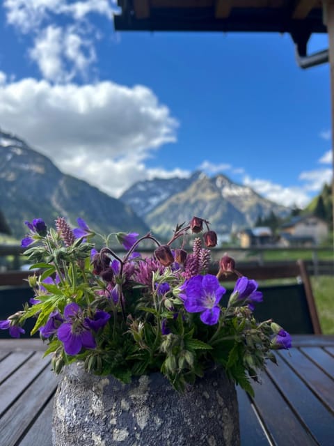 Ahorn Chalet Mittelberg Apartment in Oberstdorf