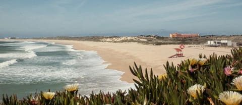 Mare Cheia (High Tide) Beach and Surf Apartments Condo in Peniche