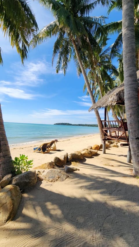 Natural landscape, Beach, Sea view