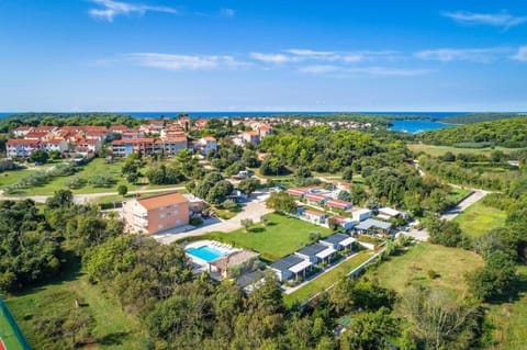 Bird's eye view, Garden