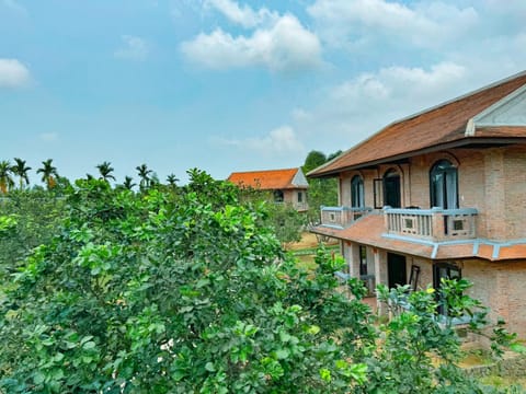 Property building, Balcony/Terrace