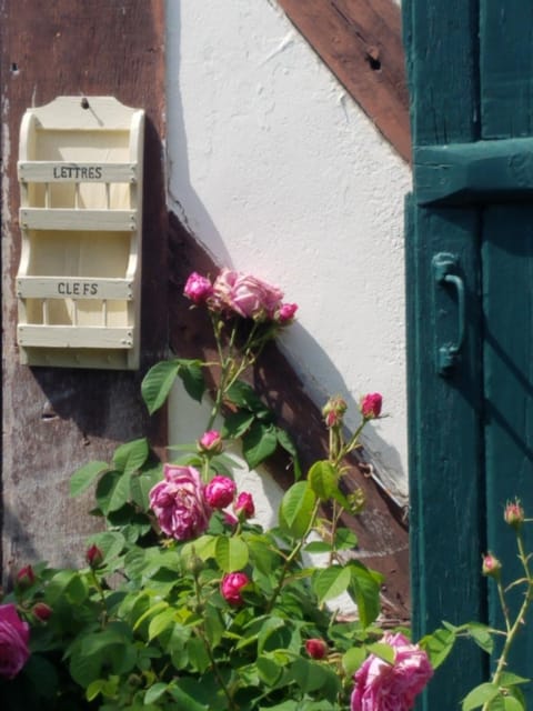 Lobby or reception, Garden view
