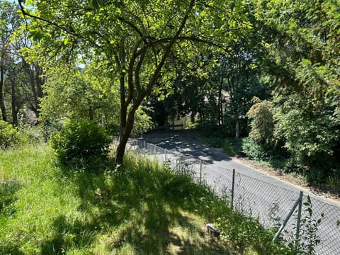 Quiet street view