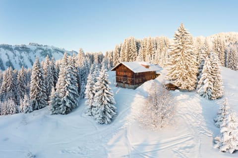 Bird's eye view, Winter