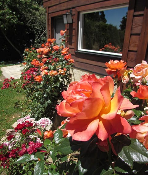 Spring, Day, Garden, Garden view