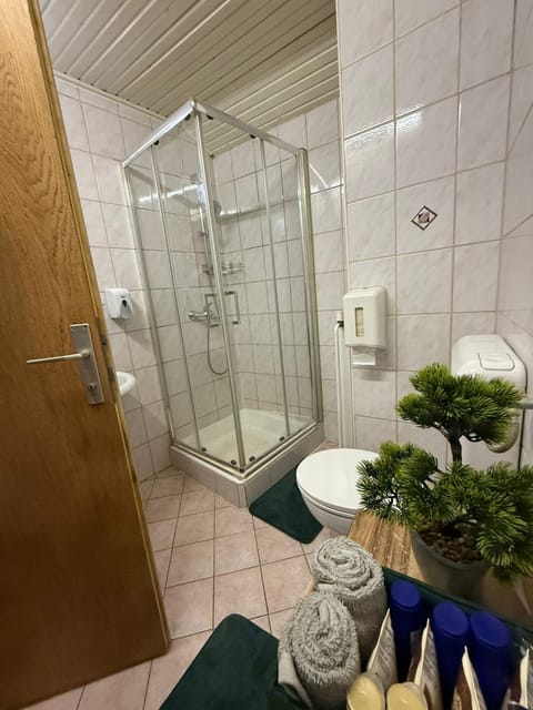 Shower, Toilet, Bathroom, towels