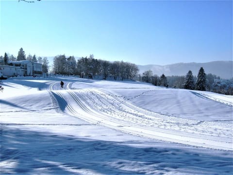 Skiing