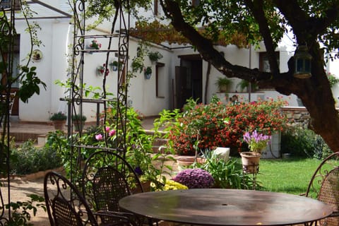 Day, Garden, Balcony/Terrace