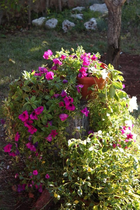 Location, children, Family