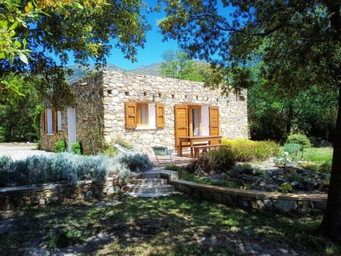 Property building, Spring, Day, Garden, Garden view