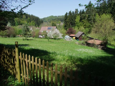 Natural landscape, Garden, Garden view