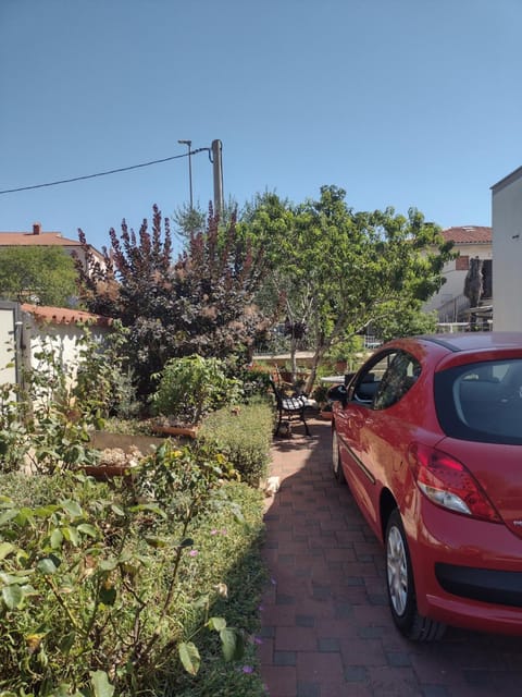 Day, Neighbourhood, Garden, Street view, Parking