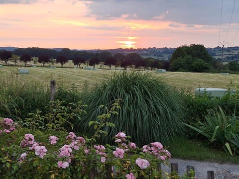 Natural landscape, Garden, Garden view, Sunset